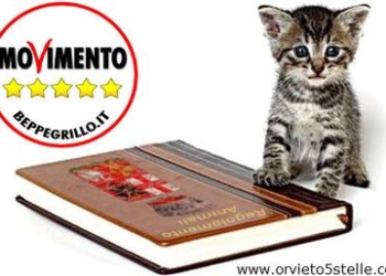 M5S Orvieto: QSV. Non “dimentichiamo” gli animali