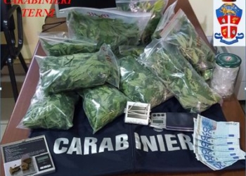 Amelia. Coltiva “erba” sul balcone di casa: arrestato 29enne amerino con 2 kg di marijuana e 20 grammi di hashish