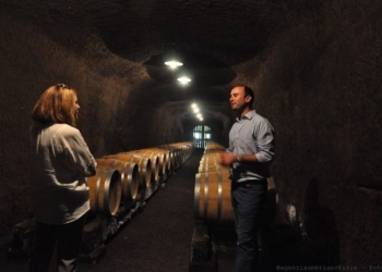La presidente Marini in visita da Barbi per l’avvio della vendemmia