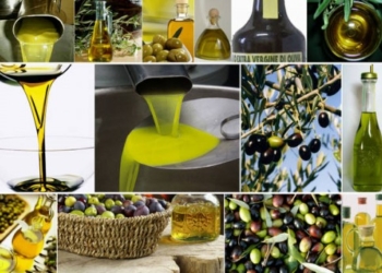 Cia: ottima annata per l’olio umbro