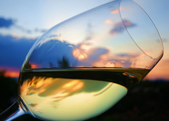 SOCIAL TASTING n°0. Mercoledì 9 settembre in rete