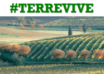 #Terrevive in Umbria: bando d’affitto per terreno agricolo ad Allerona (34 ettari)