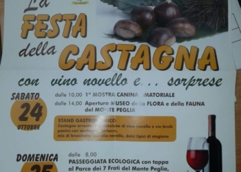 Festa della Castagna a San Venanzo