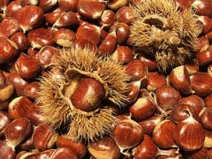 Sagra delle castagne. A Soriano nel Cimino il palio delle contrade