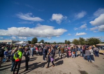 Tutti insieme sull’altopiano dell’Alfina per gridare NO alla Geotermia