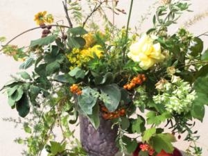 A Ficulle “Il giardino della pace”