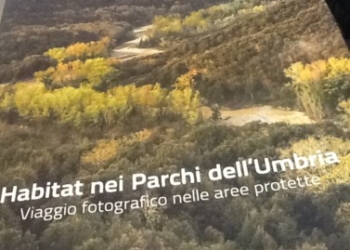 I parchi dell’Umbria  protagonisti all’Expo