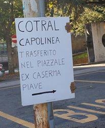 Lotta all’insegna selvaggia