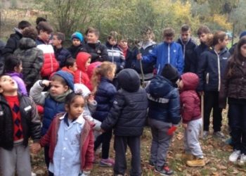“L’albero del migrante” dell’Istituto comprensivo “Orvieto-Baschi”