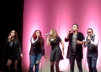 Il viaggio della Fenice ed il suo pensiero stupendo…