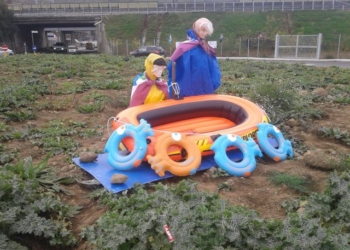 ” Na rotonna de Paia”