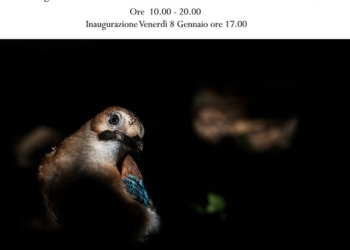 Mostra Fotografica di Michele Bavassano “EYES OF THE NATURE”.