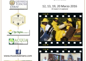 Corso Teorico-Pratico di Apicoltura Biologica Museo Naturalistico di Lubriano