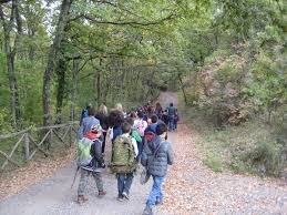 Dalla scuola al bosco, 500 alunni che imparano camminando