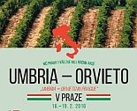 Umbria e Orvieto a Praga, il report dell’attività in corso