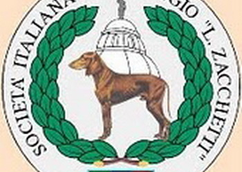 Ritorna sulla Rupe il raduno nazionale Pro Segugio