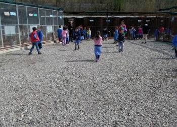 Alunni delle primarie in visita al canile comunale