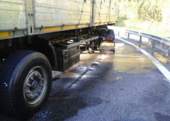 Semina kiwi in autostrada, multato dalla Stradale
