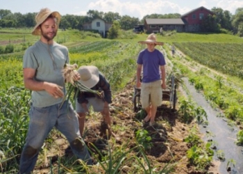 OPINIONI DEL LUNEDÍ 4 aprile 2016 n. 34