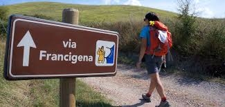 Concorso Rosa d’oro 2016 a Acquapendente