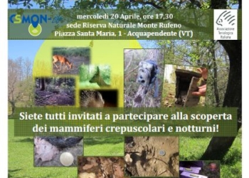 Laboratorio “BioBlitz Mammiferi” alla Riserva Naturale Monte Rufeno