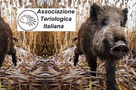 X Congresso italiano di Teriologia, resoconto della quarta ed ultima giornata