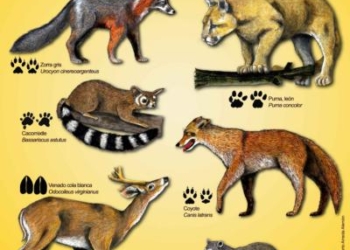 Decimo Congresso italiano di Teriologia