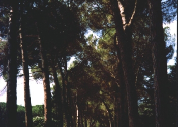 Cavalcando l’autismo: a Villa Paolina di Porano un centro di Ippoterapia