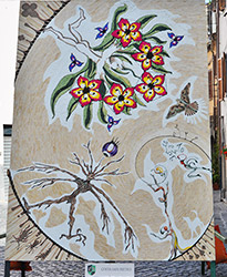 I Pugnaloni di Acquapendente. Il Gruppo Costa San Pietro