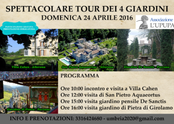 L’associazione Upupa ha un nuovo presidente: è Francesco Montesi