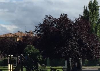 Rimesso a nuovo il parco giochi di Sferracavallo