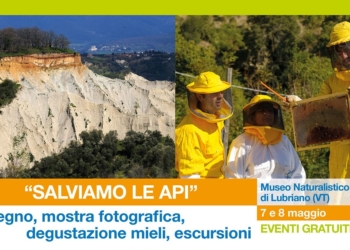 “Salviamo le Api”, 7 e 8 maggio al Museo naturalistico di Lubriano