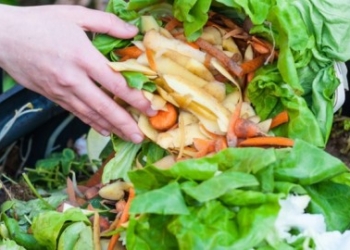 Adesione Manifesto europeo dei giovani ed EE.LL contro lo spreco alimentare