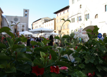 Todi Fiorita. Nel centro storico di Todi la IX Edizione della mostra-mercato del florovivaismo