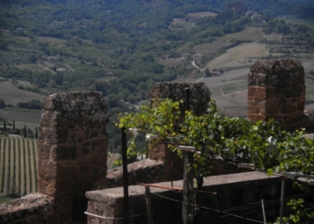 W ORVIETO