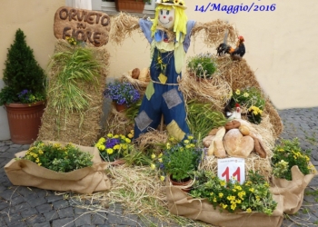 Simpatica composizione di Orvieto in fiore