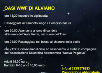 Stelle, lucciole e lanterne all’Oasi di Alviano