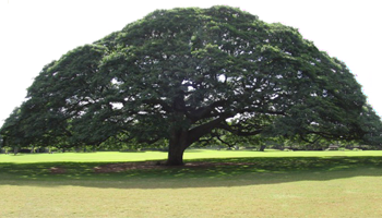 Conclusa la seconda edizione del Progetto “Viaggio nella Natura”