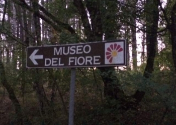 Festa di prima estate ad Acquapendente