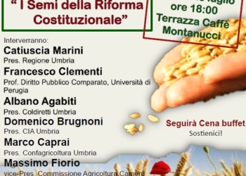 I Semi della Riforma costituzionale. Per saperne di più