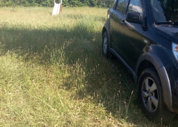 Fotografia all’area verde de La Svolta. Erba alta e parcheggio per auto