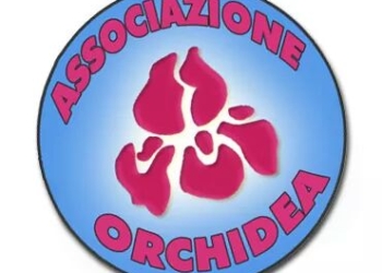 La Casa Famiglia di Proceno compie 10 anni