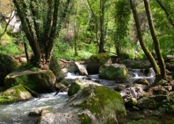 Una domenica al parco della Treja per “Treja Cup 2016”