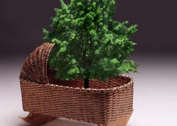 Incremento verde urbano: un albero ogni neonato