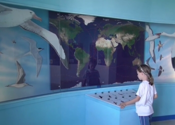 Francesco, 8 anni, aspirante ornitologo .. Ecco il suo viaggio emozionante