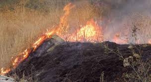 Prevenzion incendi, vietato bruciare le stoppie