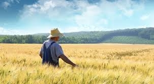 Sviluppo rurale in Umbria, incontro per illustrare bandi misura 16 a sostegno cooperazione per l’innovazione