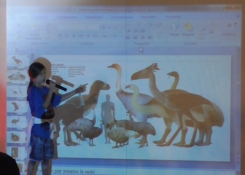 A Montecchio grande successo dell’ornitologia