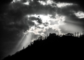 OPINIONI INCROCIATE DEL LUNEDÍ 29 agosto 2016 n. 2