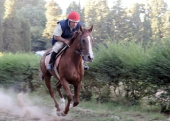 La scuderia Lidio Burla di Acquapendente vince per il quarto anno consecutivo la gara ippica “Città di Capalbio”
